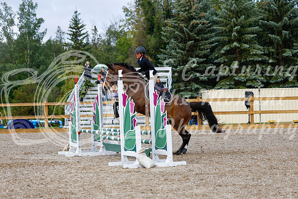 2025 - Haylee - Picco Horse Show - Sunday July 27th 02297