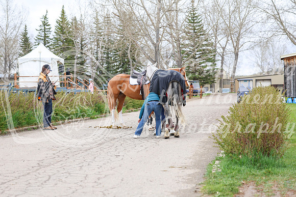 2025 - Shea - Bow Valley II - Thursday May 15th - 00495