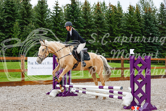 2025 - Haylee - Picco Horse Show - Sunday July 27th 00294