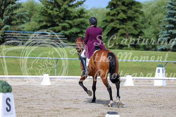 2025 - Dressage Festival - Saturday July 5th - 03216