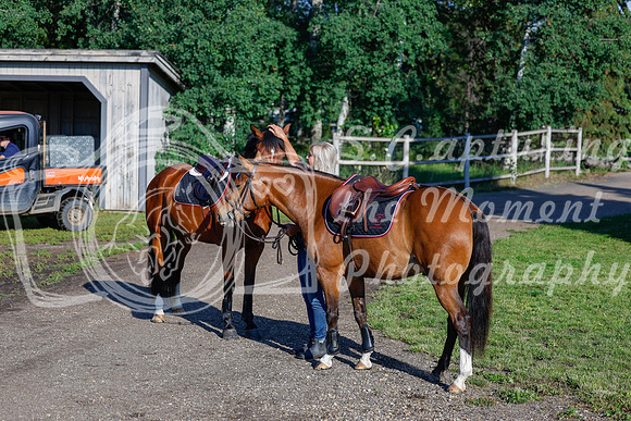 2025 - Haylee - Picco Horse Show - Thursday July 24th 00013