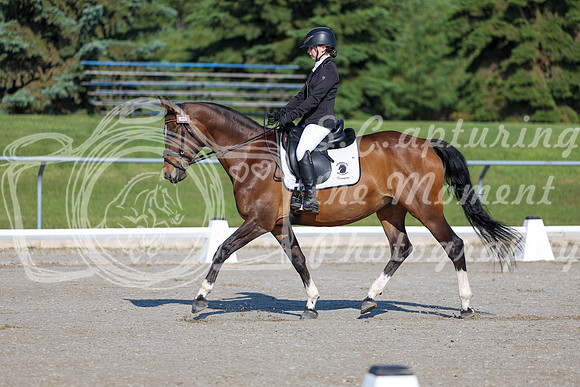 2025 - Dressage Festival - Saturday July 5th - 00433