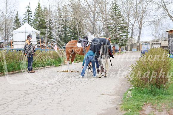 2025 - Shea - Bow Valley II - Thursday May 15th - 00494