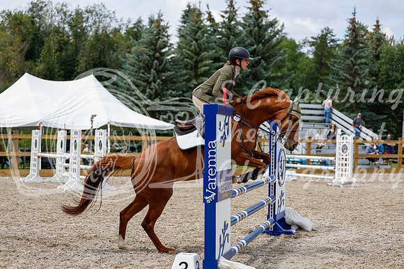 2025 - Haylee - Picco Horse Show - Saturday July 26th 06098