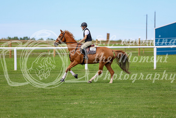 2025 - Shea - Teesdale - Thursday July 24th - 04257