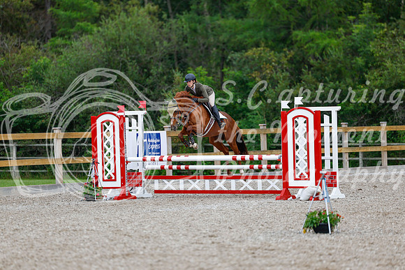 2025 - Haylee - Picco Horse Show - Sunday July 27th 03642
