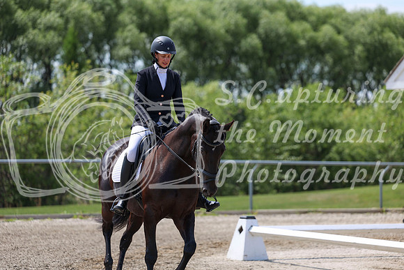 2025 - Dressage Festival - Saturday July 5th - 06966