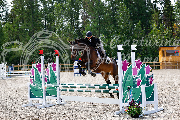 2025 - Haylee - Picco Horse Show - Thursday July 24th 02014