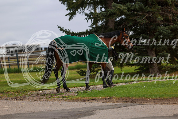 2025 - Shea - Bow Valley II - Friday May 16th - 00747