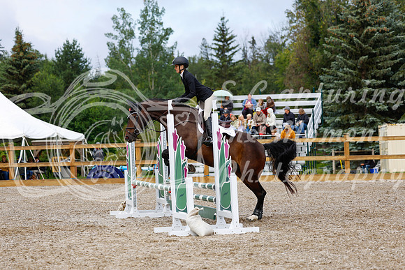 2025 - Haylee - Picco Horse Show - Sunday July 27th 02085