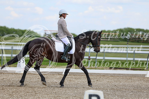 2025 - Dressage Festival - Saturday July 5th - 10684