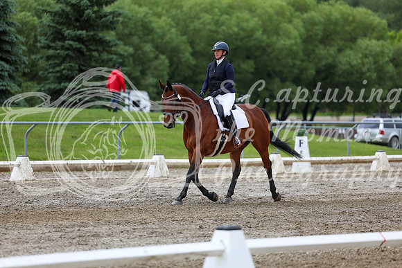 2025 - Dressage Festival - Sunday July 6th - 11780