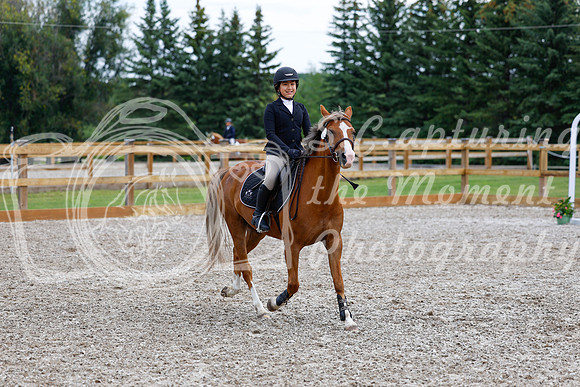 2025 - Haylee - Picco Horse Show - Saturday July 26th 02304