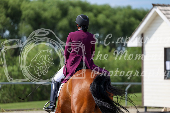 2025 - Dressage Festival - Saturday July 5th - 03084