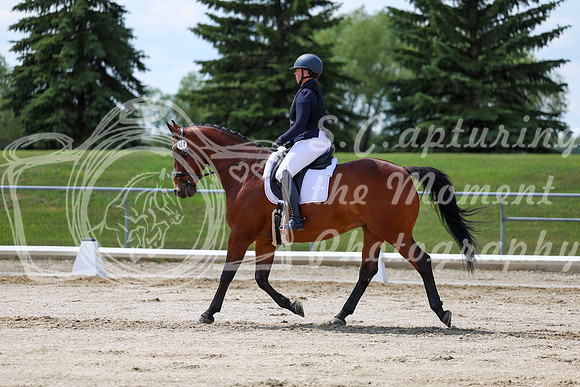 2025 - Dressage Festival - Saturday July 5th - 09734