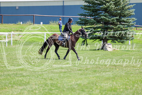 2025 - Shea - Teesdale - Thursday July 24th - 00897