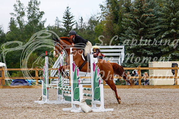 2025 - Haylee - Picco Horse Show - Sunday July 27th 01523