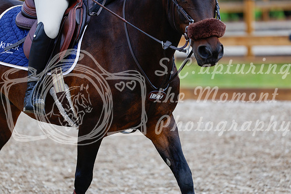 2025 - Haylee - Picco Horse Show - Friay July 25th 00464