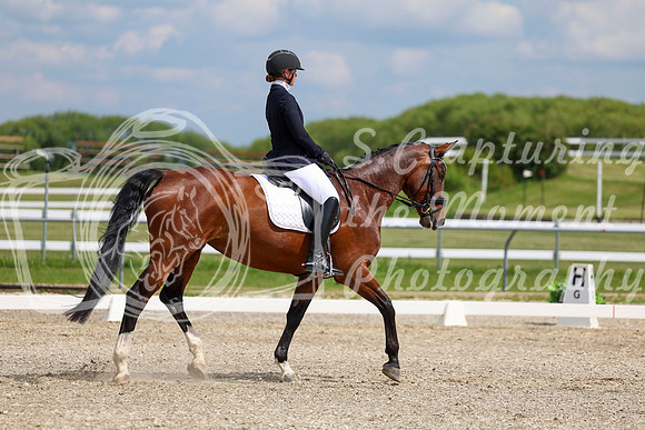 2025 - Dressage Festival - Saturday July 5th - 12841