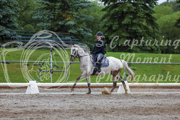 2025 - Dressage Festival - Sunday July 6th - 02167