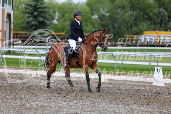 2025 - Dressage Festival - Sunday July 6th - 11700