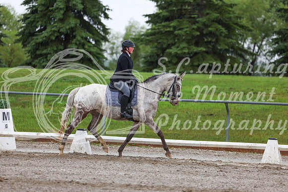 2025 - Dressage Festival - Sunday July 6th - 02304
