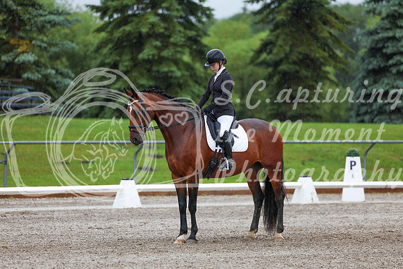 2025 - Dressage Festival - Sunday July 6th - 00835