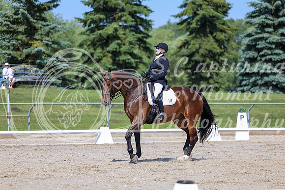 2025 - Dressage Festival - Saturday July 5th - 05280