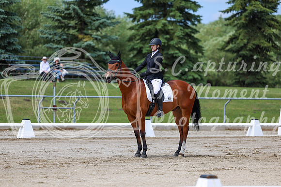 2025 - Dressage Festival - Saturday July 5th - 07304