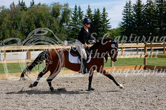 2025 - Haylee - Picco Horse Show - Thursday July 24th 02253