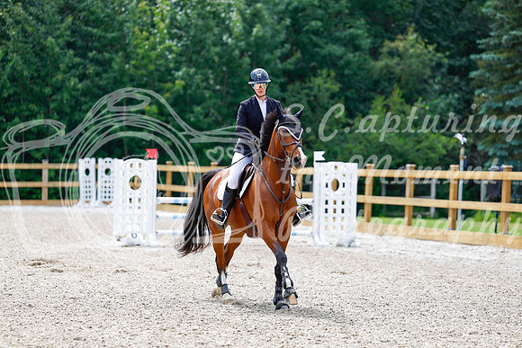 2025 - Haylee - Picco Horse Show - Sunday July 27th 03871