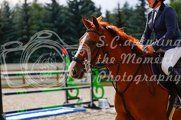 2025 - Haylee - Picco Horse Show - Saturday July 26th 08582