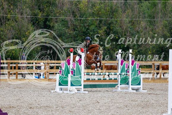 2025 - Haylee - Picco Horse Show - Saturday July 26th 06082