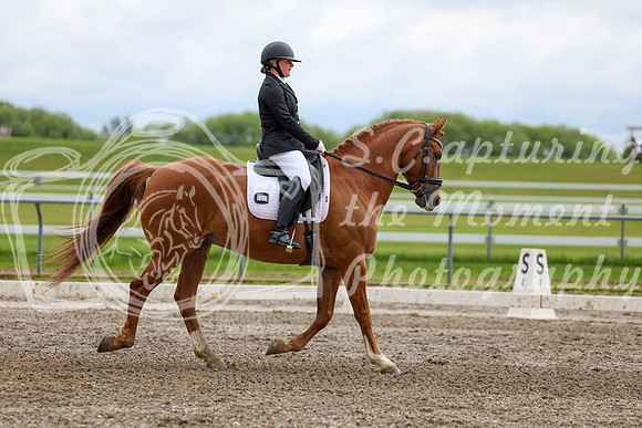 2025 - Dressage Festival - Sunday July 6th - 11097
