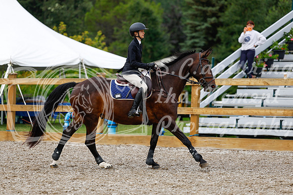 2025 - Haylee - Picco Horse Show - Saturday July 26th 01957