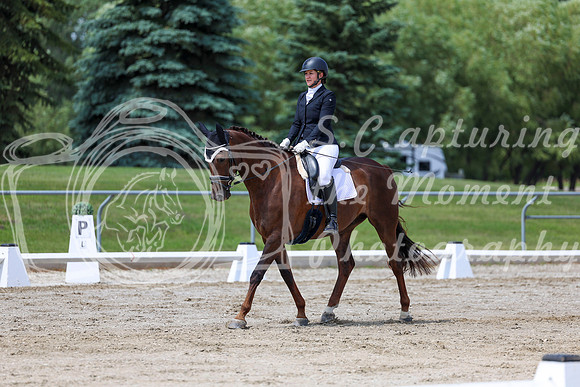 2025 - Dressage Festival - Saturday July 5th - 08479
