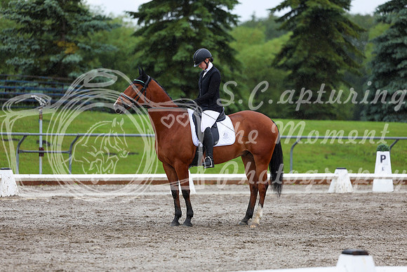 2025 - Dressage Festival - Sunday July 6th - 07261