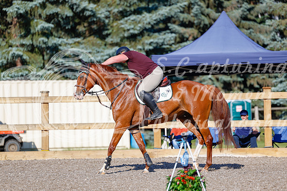 2025 - Haylee - Picco Horse Show - Thursday July 24th 00257