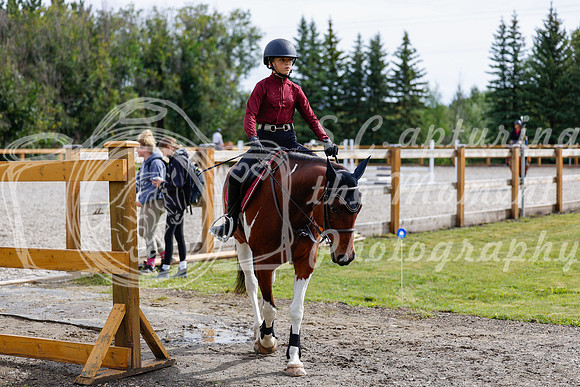 2025 - Haylee - Picco Horse Show - Friay July 25th 00759