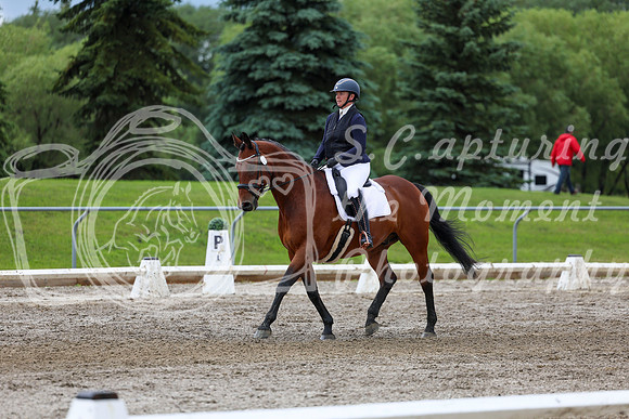 2025 - Dressage Festival - Sunday July 6th - 11788