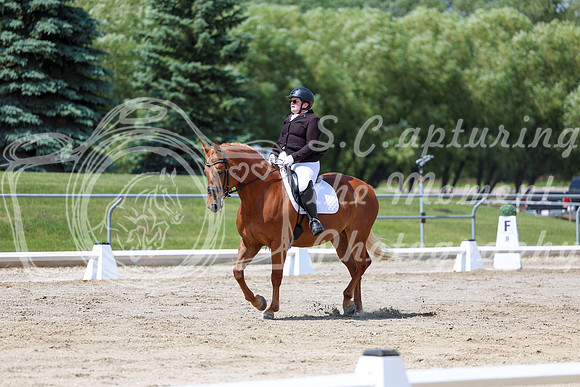2025 - Dressage Festival - Saturday July 5th - 09320
