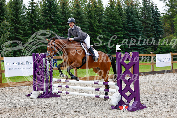 2025 - Haylee - Picco Horse Show - Sunday July 27th 01829