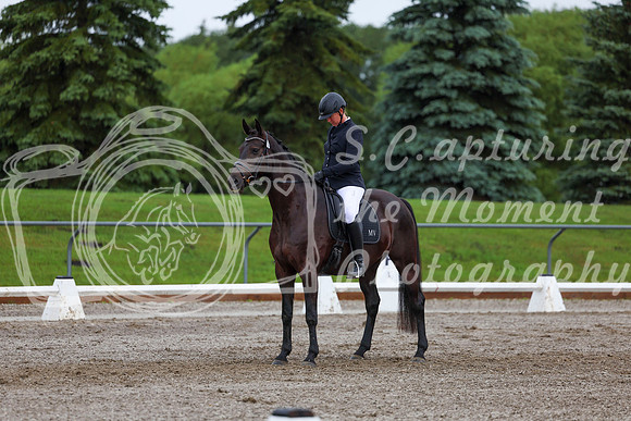 2025 - Dressage Festival - Sunday July 6th - 01888