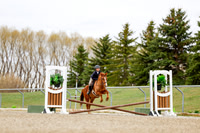2025 - Haylee - Spring Welcome - Sunday April 27th - 02368