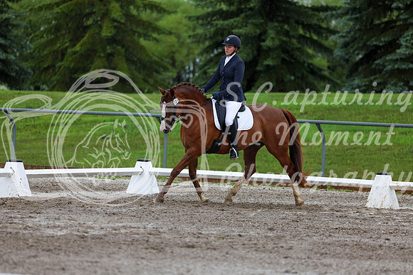 2025 - Dressage Festival - Sunday July 6th - 05317