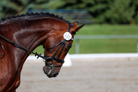 2025 - Dressage Festival - Saturday July 5th - 01254