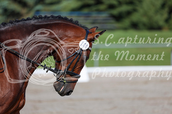2025 - Dressage Festival - Saturday July 5th - 01254