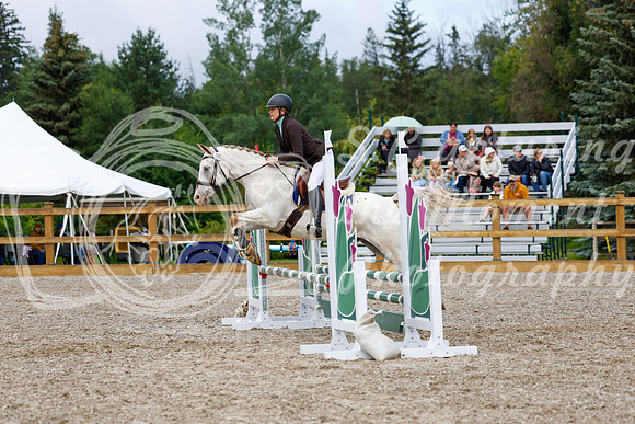 2025 - Haylee - Picco Horse Show - Sunday July 27th 01975