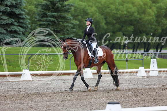 2025 - Dressage Festival - Sunday July 6th - 00829