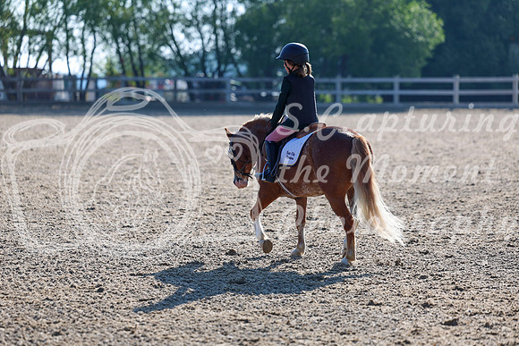 2025 - Dressage Festival - Saturday July 5th - 00025